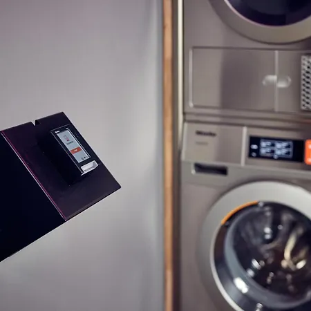 The Elephant * Amesterdão