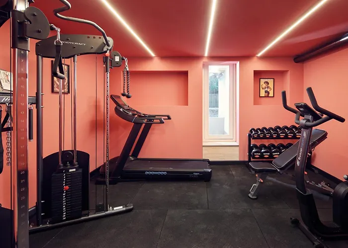 بيت شباب The Elephant *